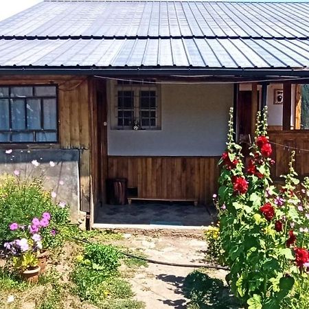 Guesthouse Sagrila Omalo Exterior foto