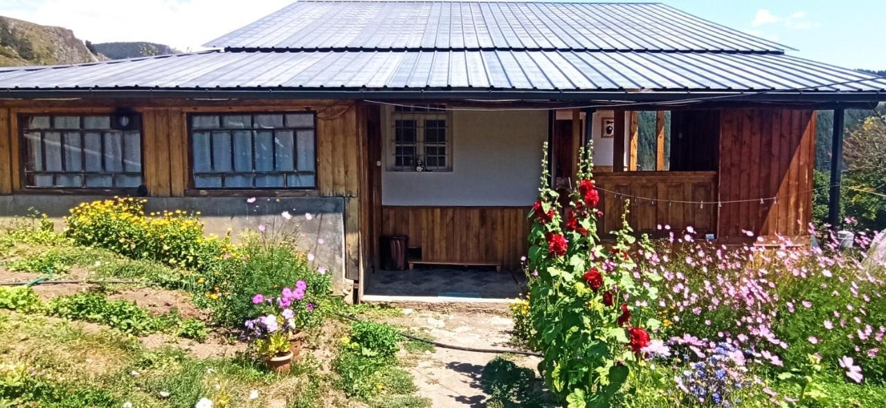 Guesthouse Sagrila Omalo Exterior foto
